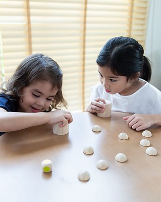 PlanToys Wooden Toy Set - Shake n Flip - Eco-friendly and fun! Montessori Toys