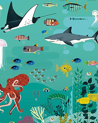 Poppik Scientific Poster - Animals of the Ocean - 7 years and up Posters