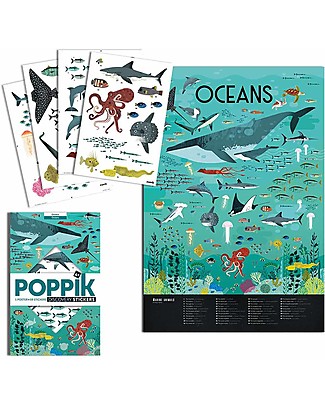 Poppik Scientific Poster - Animals of the Ocean - 7 years and up Posters
