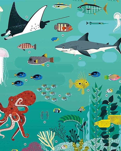 Poppik Scientific Poster - Animals of the Ocean - 7 years and up Wall Decorations