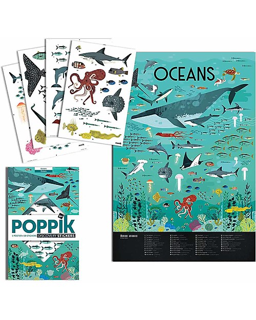 Poppik Scientific Poster - Animals of the Ocean - 7 years and up Wall Decorations