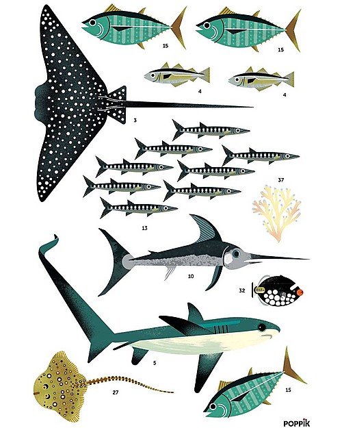 Poppik Scientific Poster - Animals of the Ocean - 7 years and up Wall Decorations
