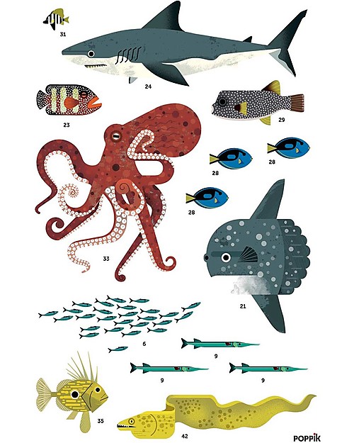 Poppik Scientific Poster - Animals of the Ocean - 7 years and up Wall Decorations