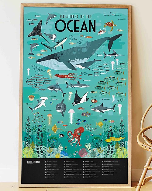 Poppik Scientific Poster - Animals of the Ocean - 7 years and up Wall Decorations