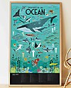 Poppik Scientific Poster - Animals of the Ocean - 7 years and up Wall Decorations