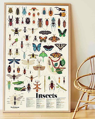 Poppik Scientific Poster - Insects - 6 years and up Paper & Cardboard