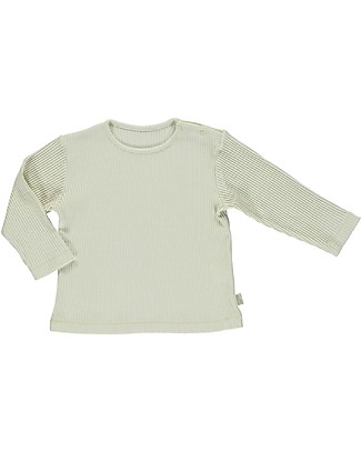 Poudre Organic Long Sleeves T-shirt Olive (18-24 months) - Almond Milk - 100% organic cotton Long Sleeves Tops