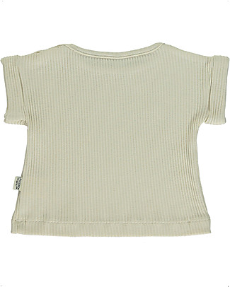 Poudre Organic Ribbed T-shirt Bourrache with Folded Cuffs - Almond Milk - 100% Organic Cotton T-shirts