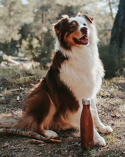 Qwetch Insulated Stainless Steel Bottle - Wood - 500ml Thermos Bottles
