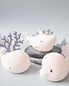 Rabbit & Friends Set of 3 Mini Waterproof Lamps - Luminous Bath Toy - Shark Dolphin and Whale Bath Toys