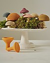 Raduga Grez Wooden Set - Mushrooms - Handmade Educational Toy to Stimulate your Baby Montessori Toys
