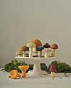 Raduga Grez Wooden Set - Mushrooms - Handmade Educational Toy to Stimulate your Baby Montessori Toys
