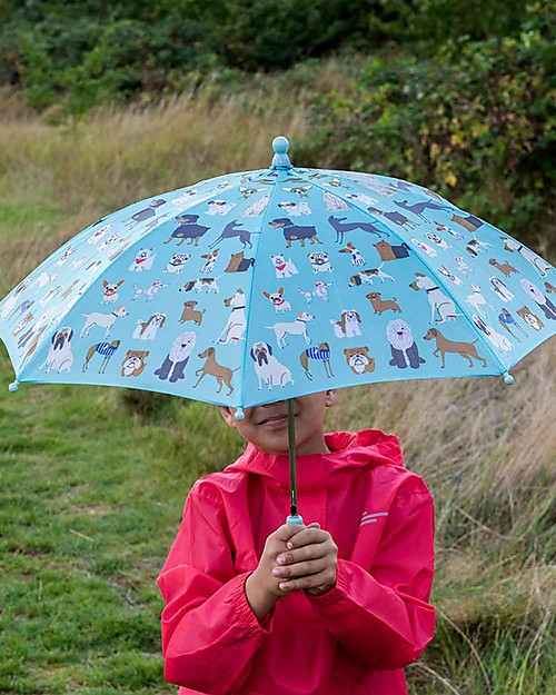 Rex London Children’s Umbrella - Best in Show - Sturdy and Safe! Umbrellas