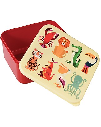 Rex London Colourful Creatures Lunch Box 14x15x7 cm - BPA free! null