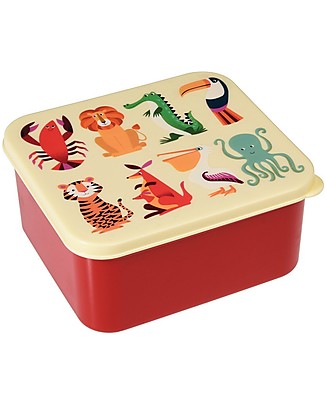 Rex London Colourful Creatures Lunch Box 14x15x7 cm - BPA free! Snack and Formula Containers