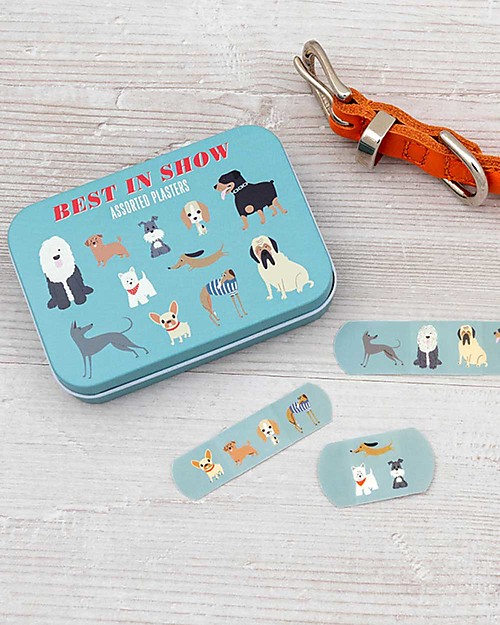 Rex London Plasters in Tin - Best in Show - Pack of 30 Plasters