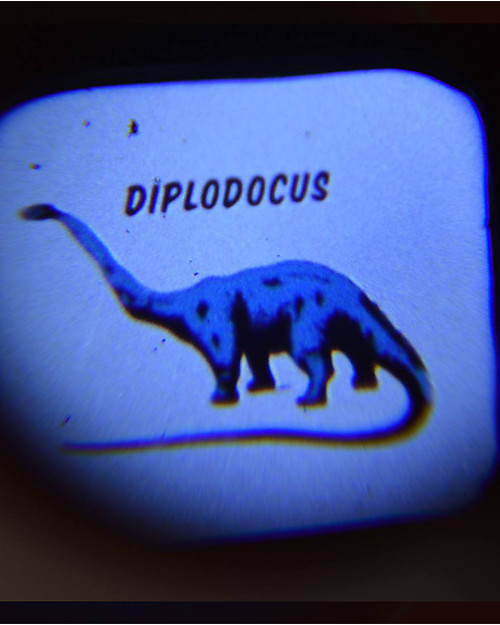 Rex London Prehistoric Land Projector Torch - Ready to discover Dinosaurs? Outdoor Games and Toys_