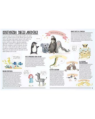 Sassi Junior Atlas A Baby Is Born!Animal Families - 6+ years Books