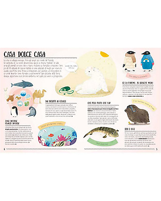 Sassi Junior Atlas Why Penguins Don't Feel Cold - 6+ years Travel Games