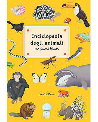 Sassi Junior Encyclopedia of Animals - for Young Readers - from 6 years Books
