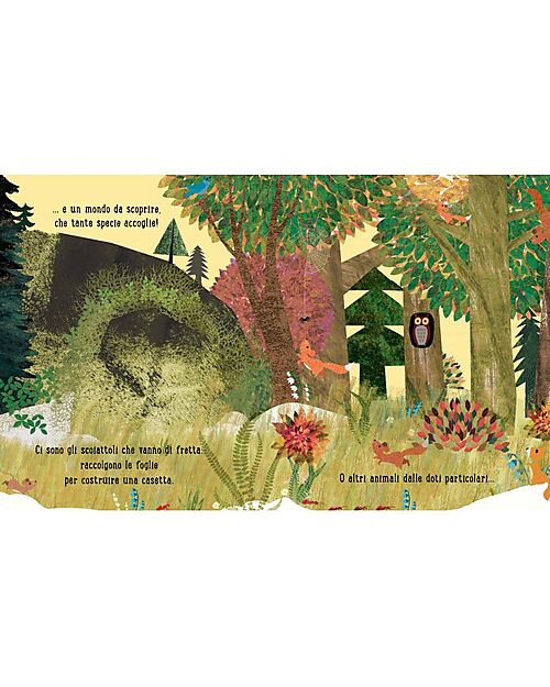 Sassi Junior Illustrated Book Casa - from 3 years old Books