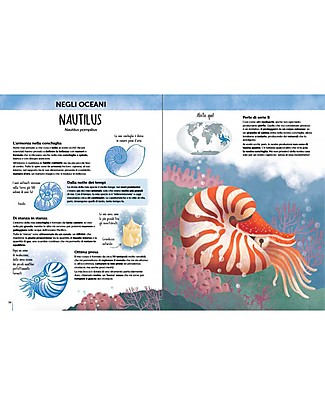 Sassi Junior The Atlas of Biodiversity - Unusual and Curious Animals Travel Games