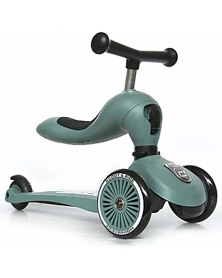 Scoot and Ride 2 in 1 Balance Bike / Scooter - Highway Kick 1 Lifestyl –  All Mamas Children