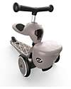Scoot and Ride Scooter and Tricycle 2in1 Highwaykick 1 Lifestyle - Storage Box - Brown Lines - From 1 up to 5 years old Scooters
