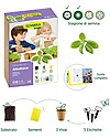 Sembra Hortus Mini Kit Basil - Plant, grow, pick your plant! STEM toys
