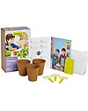 Sembra Hortus Mini Kit Basil - Plant, grow, pick your plant! STEM toys