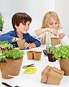 Sembra Hortus Mini Kit Basil - Plant, grow, pick your plant! STEM toys
