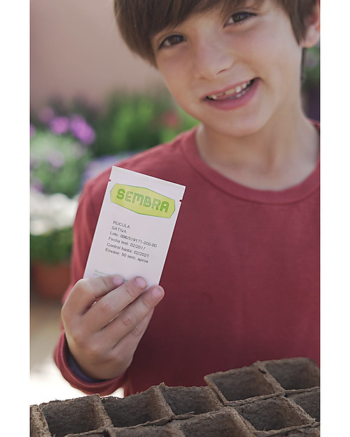 Sembra Hortus Mini Kit Basil - Plant, grow, pick your plant! STEM toys