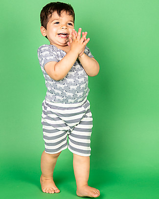 Sense Organics Emilio Baby Shorts - Blue Stripes - 100% Organic Cotton Shorts