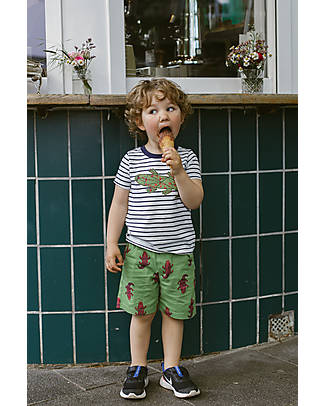 Sense Organics Ibon T-shirt with Stripes - Navy/Crocodile - 100% Organic Cotton T-shirts