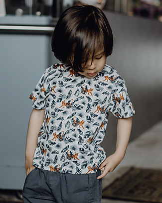 Sense Organics Jannis T-shirt - Tiger - 100% Organic Cotton T-Shirts And Vests