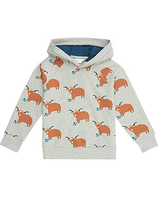 Sense Organics Jonas Hooded Sweater - Grey Highland Cows - 100% Organic Cotton GOTS Sweatshirts