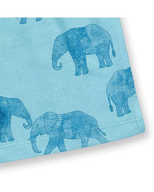 Sense Organics Kafka Retro Short Pyjama - Elephants - Aqua - 100% GOTS Organic Cotton Pyjamas