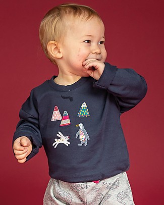 Sense Organics Nolani Baby Sweater - Artic Scene - 100% Brushed Organic Cotton Sweatshirts