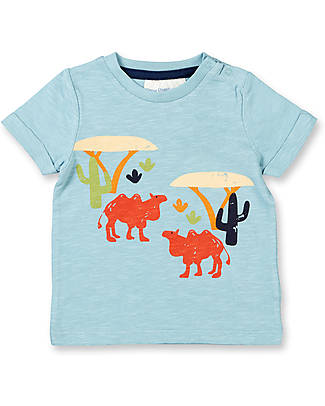 Sense Organics Odo Baby Shirt - Camel Blue - 100% Organic Cotton GOTS T-shirts