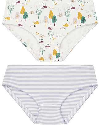 Sense Organics Paris Retro Slip Pack of 2 - Hedgehogs/Stripes - 100% organic cotton Briefs