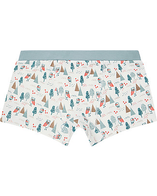 Sense Organics Prince Boxershorts Pack of 2 - Owl/Stripes - 100% organic cotton Briefs