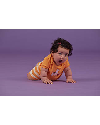 Sense Organics Tilly Retro Baby Shirt - Light Apricot Lama - 100% Organic Cotton GOTS T-shirts