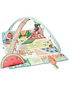 Skip Hop Farmstand Grow and Play Activity Gym - From birth! Baby Gym