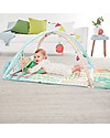 Skip Hop Farmstand Grow and Play Activity Gym - From birth! Baby Gym