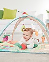 Skip Hop Farmstand Grow and Play Activity Gym - From birth! Baby Gym