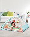 Skip Hop Farmstand Grow and Play Activity Gym - From birth! Baby Gym