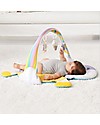 Skip Hop Unicorn Activity Gym - From birth, with Music and Mirror! Baby Gym