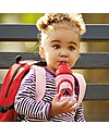 Skip Hop Zoo Straw Bottle for Kids, Ladybug - Flip-top Lid! Non-Thermal Water Bottles