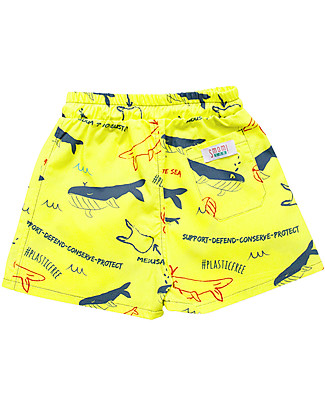 SmomLab Sebastiano Swim Pants - Whales - 100% Organic Cotton Swimming Trunks