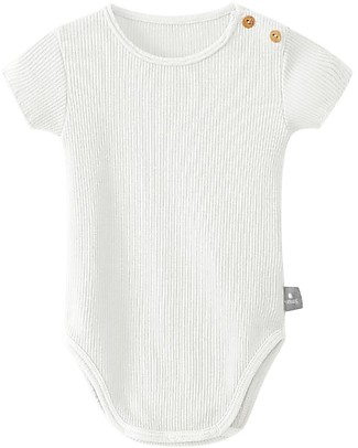 Snug 2 Pack Bodysuits - Stone/Off-White - Elasticated Cotton Short Sleeves Bodies